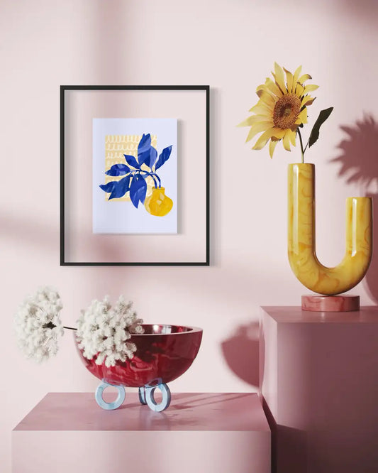 Блакитний фікус