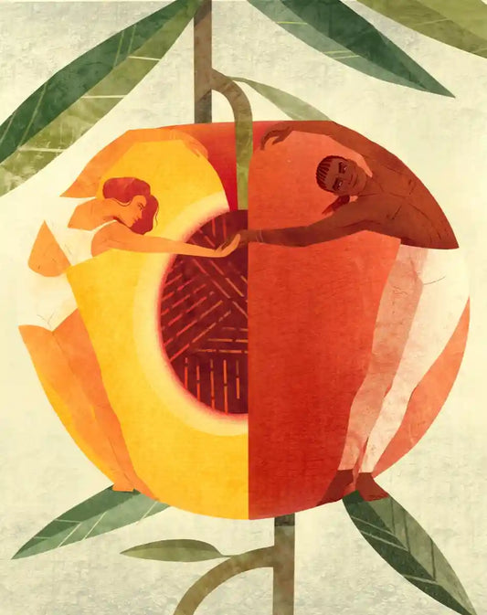 Плідна Підтримка